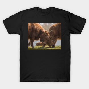 Bulls Fight T-Shirt